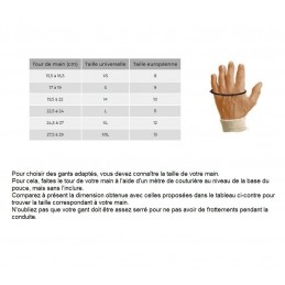 GT-GANTS6-GANTS FR