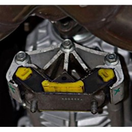 KDT928-whiteline trans mount mustang 2